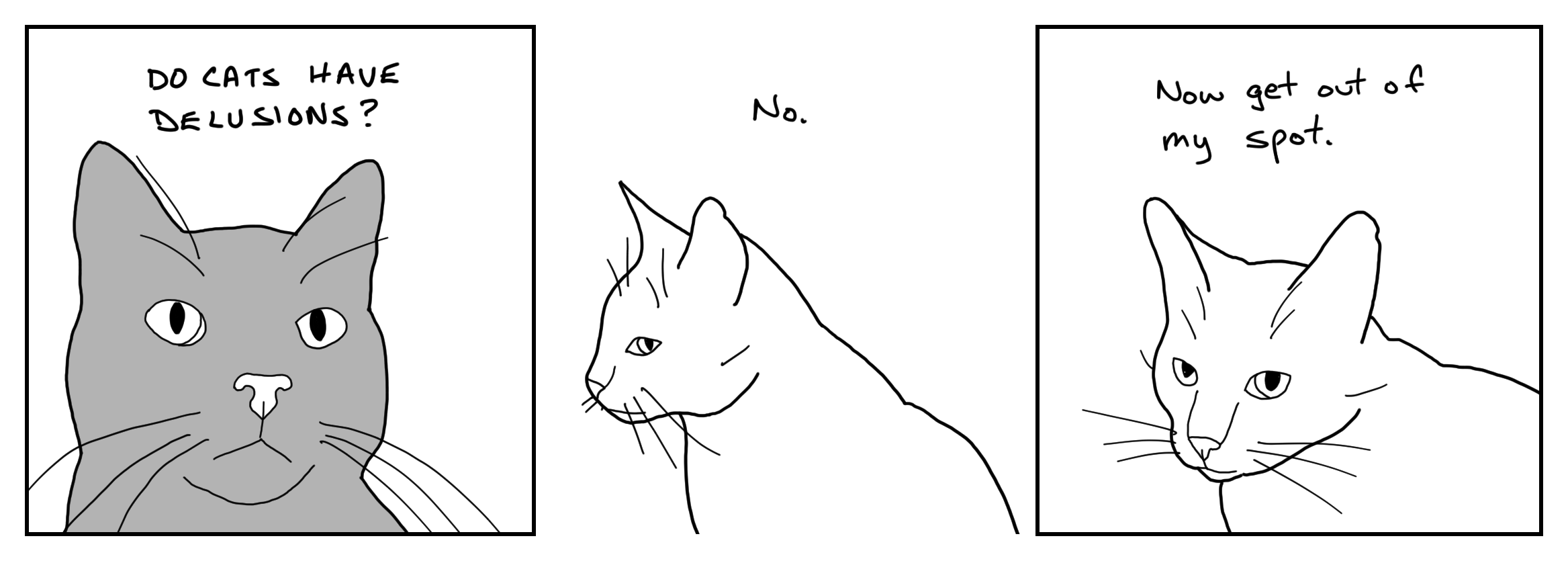Feline-Delusions
